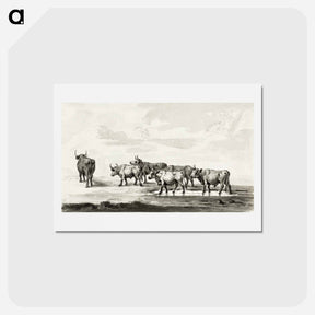 アートポストカード-Group of six bulls - ジャン ベルナール Postcard.