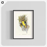 2-87_John-Gould_blk