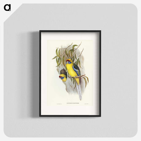 2-87_John-Gould_blk