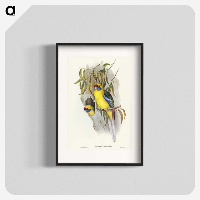 2-87_John-Gould_blk