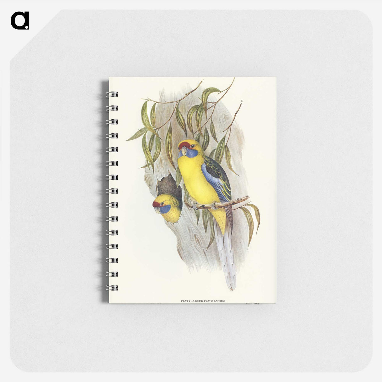 2-87_John-Gould_memo