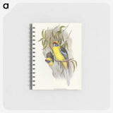 2-87_John-Gould_memo