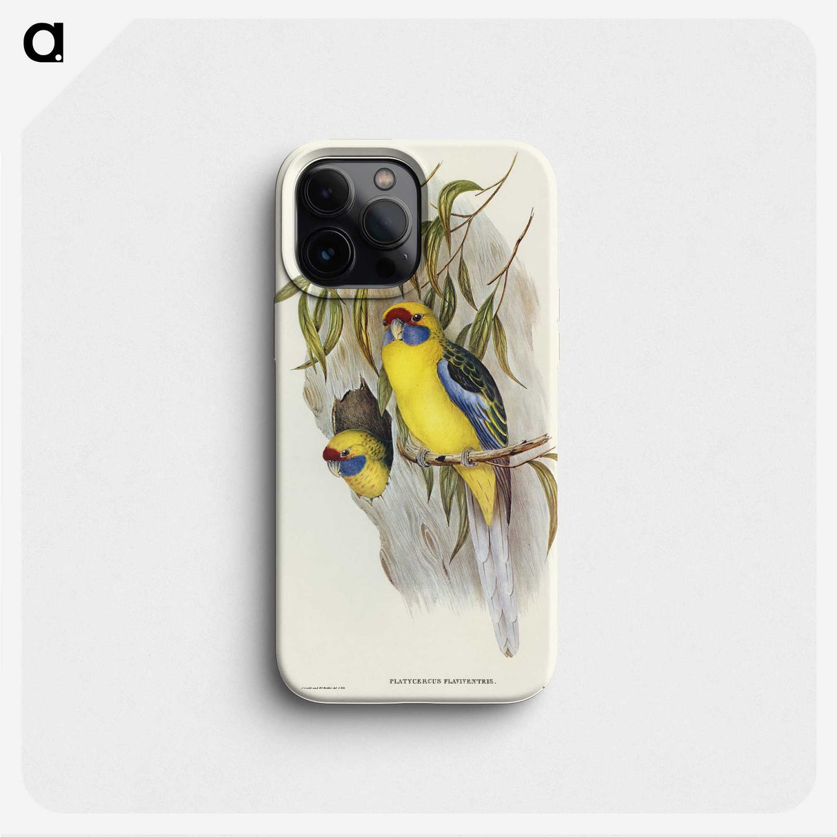 2-87_John-Gould_phone