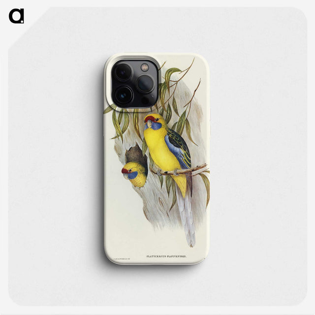2-87_John-Gould_phone