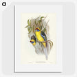 2-87_John-Gould_picture