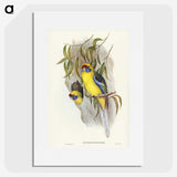 2-87_John-Gould_picture