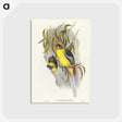2-87_John-Gould_postcard