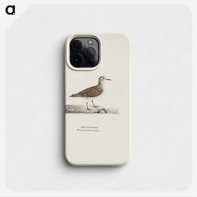 2-87_Magnus-von-Wright_phone