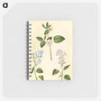 2-87_Maria-Sibylla-Merian_memo