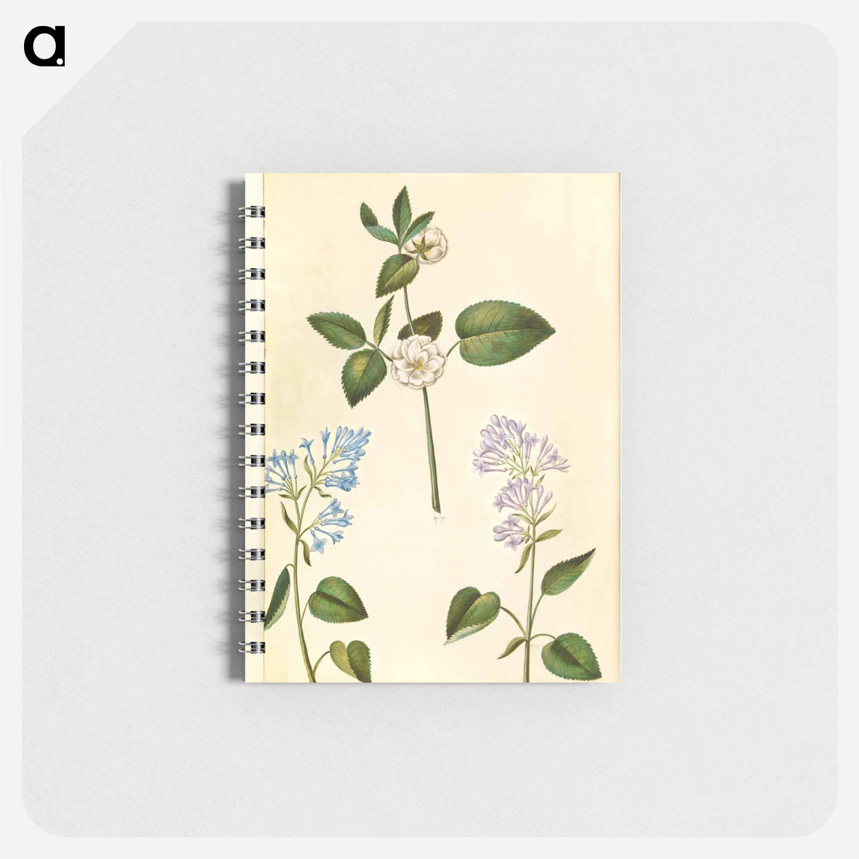アートメモ帳-Rosa and Syringa vulgaris
 - マリア ジビーラ メーリアン Memo.
