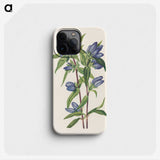 2-87_Mary-Vaux-Walcott_phone