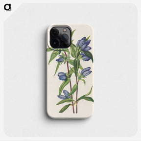 2-87_Mary-Vaux-Walcott_phone