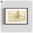 アートポスター-Octopus Illustration
 - 国立医学図書館 Poster.
