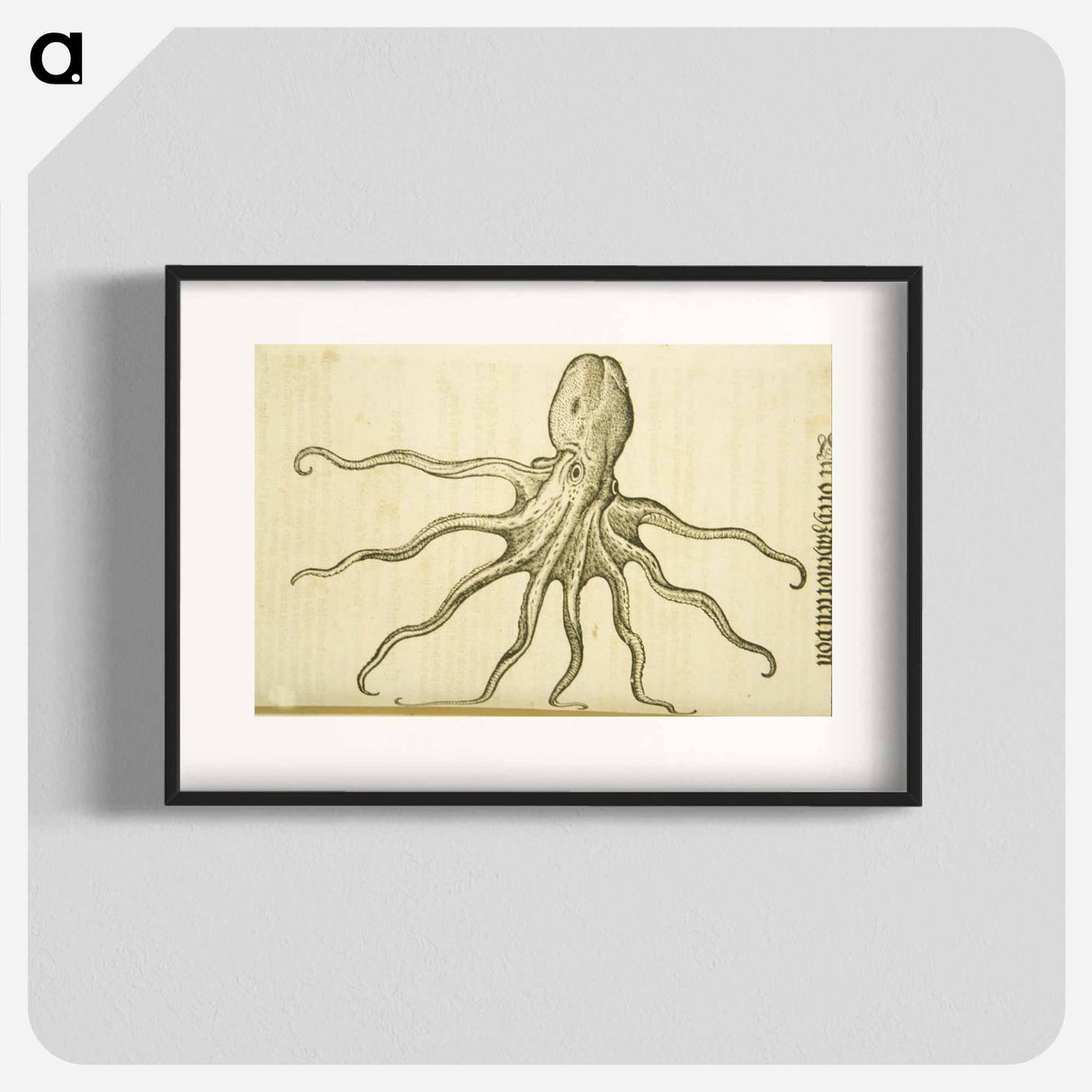 アートポスター-Octopus Illustration
 - 国立医学図書館 Poster.