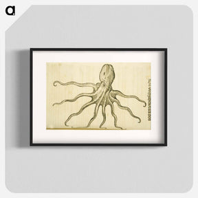 アートポスター-Octopus Illustration
 - 国立医学図書館 Poster.