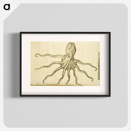 アートポスター-Octopus Illustration
 - 国立医学図書館 Poster.