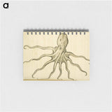 アートメモ帳-Octopus Illustration
 - 国立医学図書館 Memo.