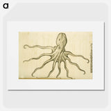 アートポスター-Octopus Illustration
 - 国立医学図書館 Poster.