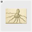 アートポストカード-Octopus Illustration
 - 国立医学図書館 Postcard.