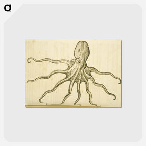 アートポストカード-Octopus Illustration
 - 国立医学図書館 Postcard.