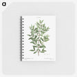 2-87_Pierre-Joseph-Redoute_memo