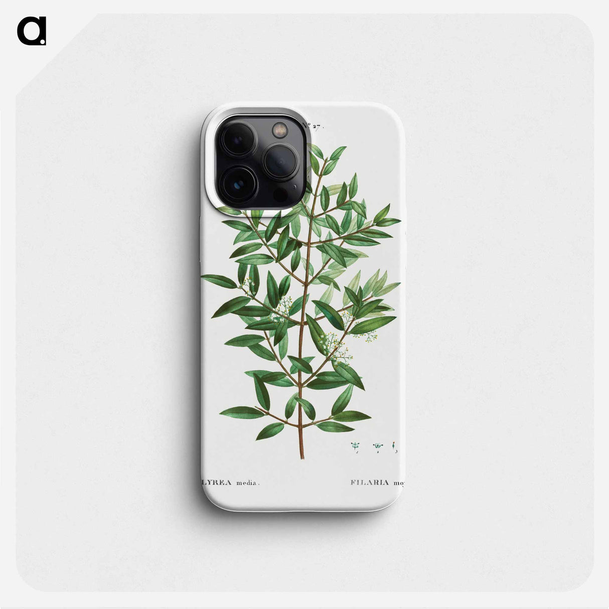 Phillyrea - ピエール ジョゼフ ルドゥーテ Phone Case.