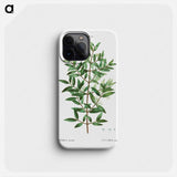 Phillyrea - ピエール ジョゼフ ルドゥーテ Phone Case.