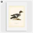2-87_Svenska-Faglar_picture