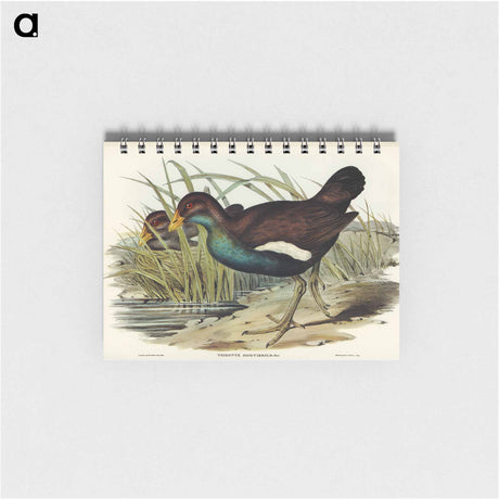 アートメモ帳-Tasmanian Nativehen
 - オーストラリアの鳥 Memo.