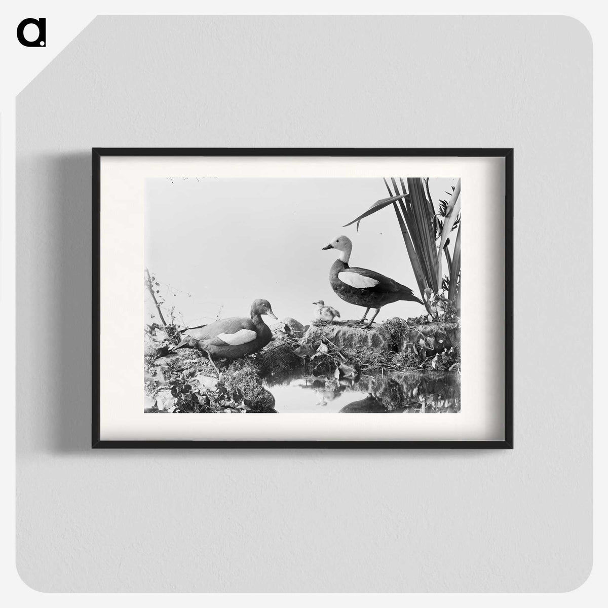 2-87_The-Burton-Brothers_blk