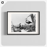 2-87_The-Burton-Brothers_blk