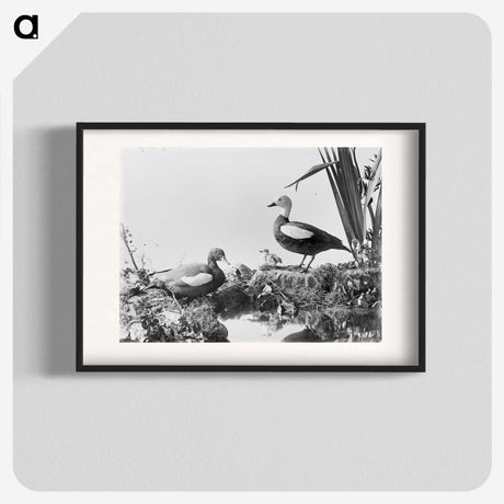 2-87_The-Burton-Brothers_blk
