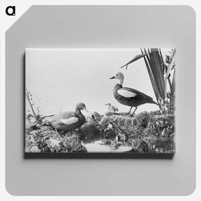 2-87_The-Burton-Brothers_canvas