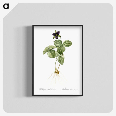 2-87_The-Lilies_blk-crop