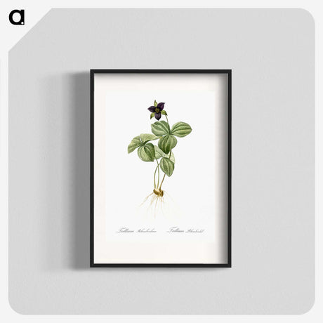 2-87_The-Lilies_blk