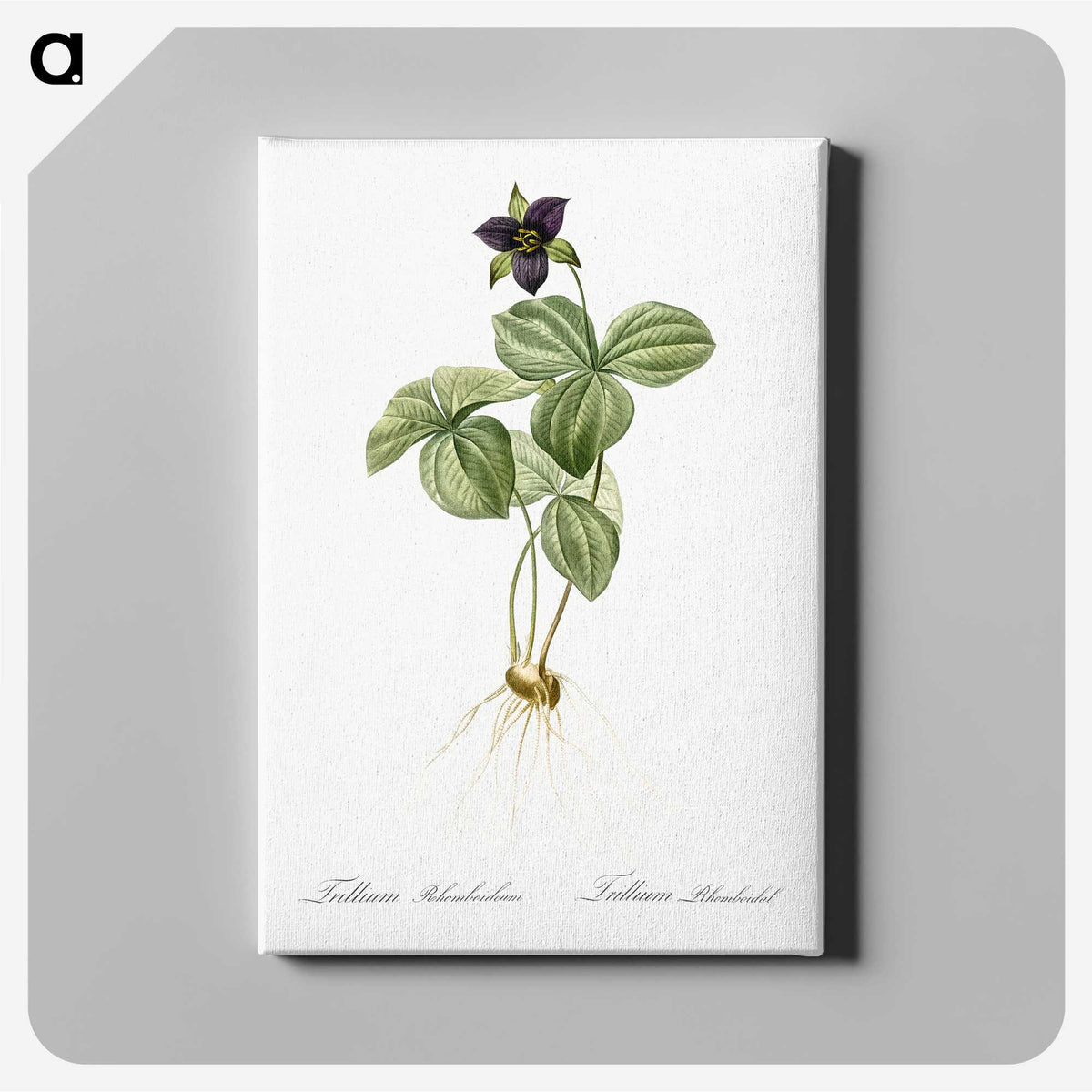2-87_The-Lilies_canvas