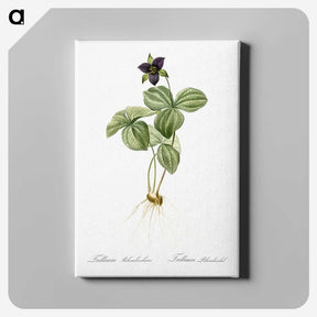 2-87_The-Lilies_canvas
