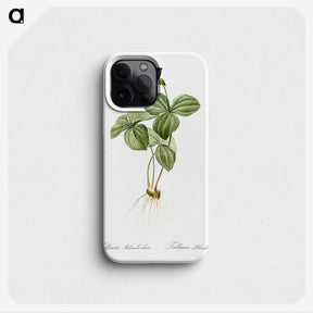 2-87_The-Lilies_phone