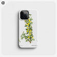 2-87_Treatise-on-Trees-and-Shrubs_phone