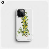 2-87_Treatise-on-Trees-and-Shrubs_phone