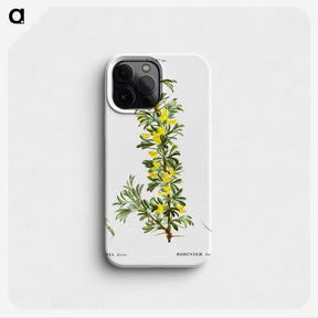 2-87_Treatise-on-Trees-and-Shrubs_phone