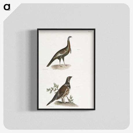 2-87_Zoology-of-New-York_blk-crop