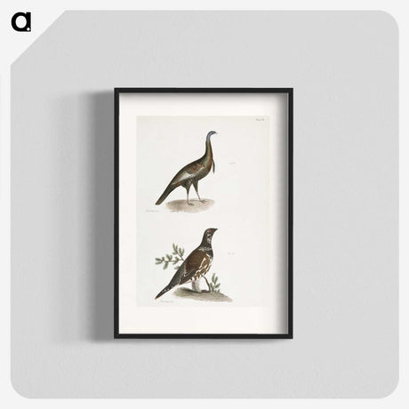 2-87_Zoology-of-New-York_blk
