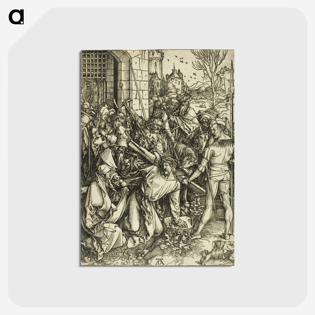 2-88_Albrecht-Durer_postcard