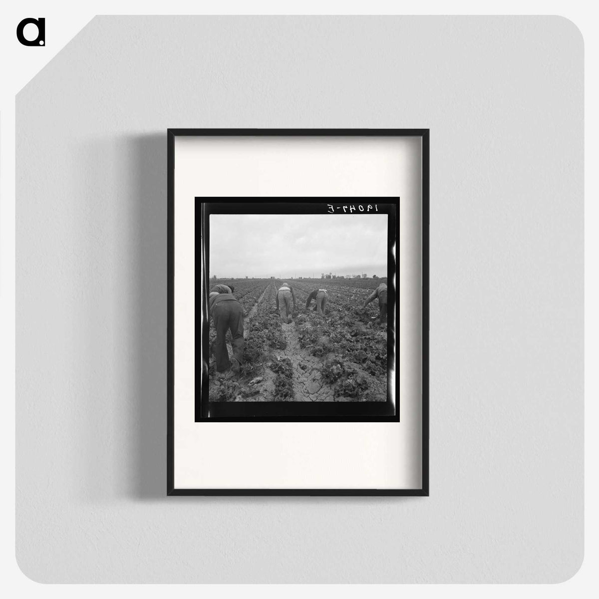2-88_Dorothea-Lange_blk