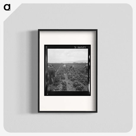 2-88_Dorothea-Lange_blk