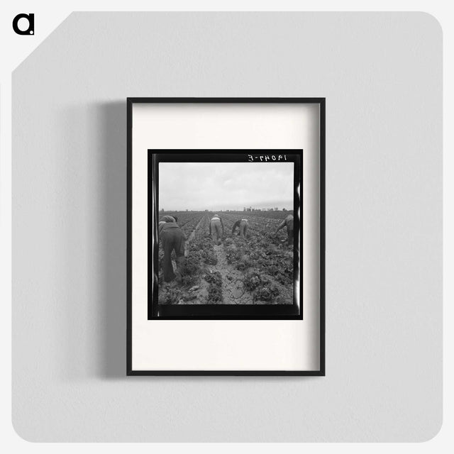 2-88_Dorothea-Lange_blk