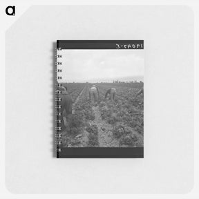 アートメモ帳-Untitled photo - ドロテア ラング Memo.
