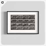 2-88_Eadweard-Muybridge_blk
