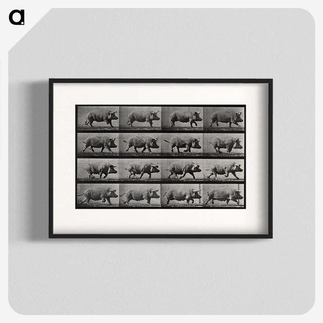 2-88_Eadweard-Muybridge_blk